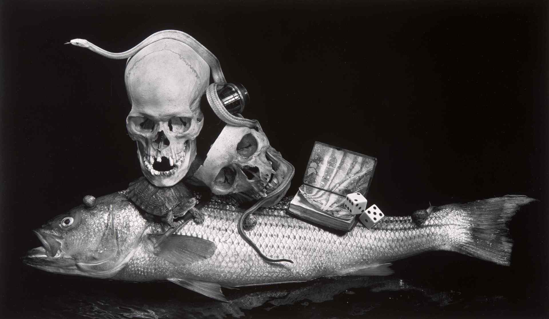 Crossing the River Styx (B), New York 1996